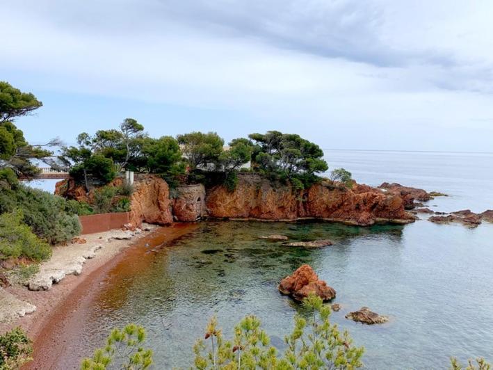 Appartamento Vue Domaine Arbore *